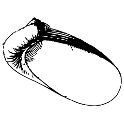 Tube shell with a lid