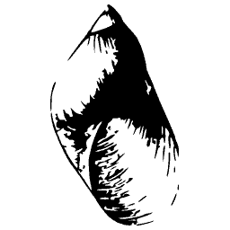 Dark cone shell