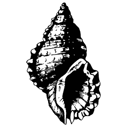 Knobbed spire shell 02
