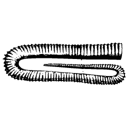 Ribbed tube shell