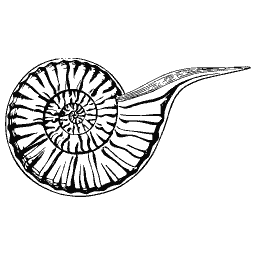 Coiled shell with a tube