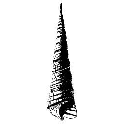 Tall turret shell 03
