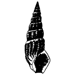 Chequered turret shell
