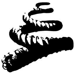 Coiled worm shell