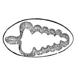 Oval dish with a shaped border