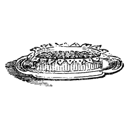 Tart with a lattice top
