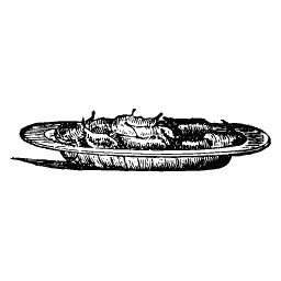 Dish of fish