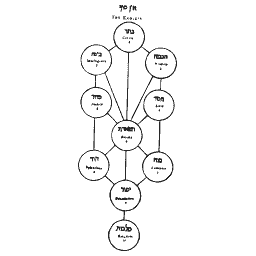 Tree of life diagram