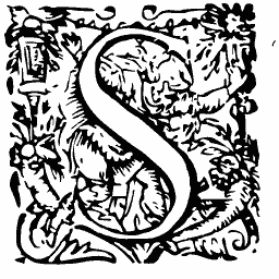 Decorated initial S