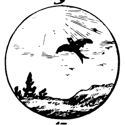 Bird flying over a hill