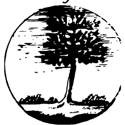 Slim tree with a spreading head