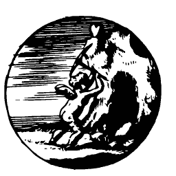 Man pulled down by a bear