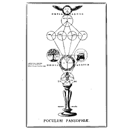 Cup of wisdom diagram