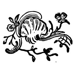 Rococo shell scroll