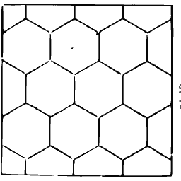 Honeycomb hexagon net