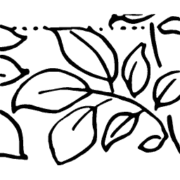 Outlined leaf branch