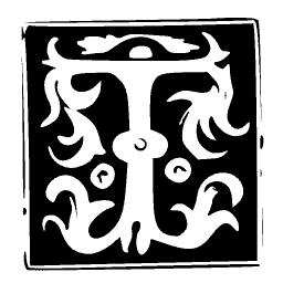 Foliate T panel