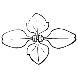 Three-petalled flower