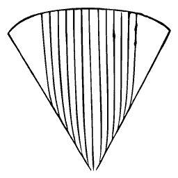 Ribbed fan