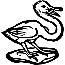 Swan
