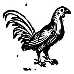 Long-tailed cockerel