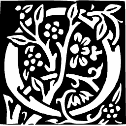 Square initial of flowering stems 02
