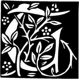 Square initial of flowering stems 03
