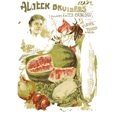 Cover plate with a watermelon - Illustrated Catalogue of Everything for the Flower and Vegetable Garden - 1896
