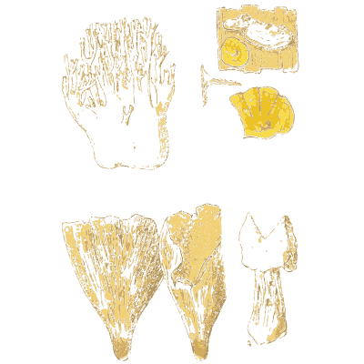 Coral fungus and horn of plenty - Atlas des Champignons Comestibles et Veneneux - 1895