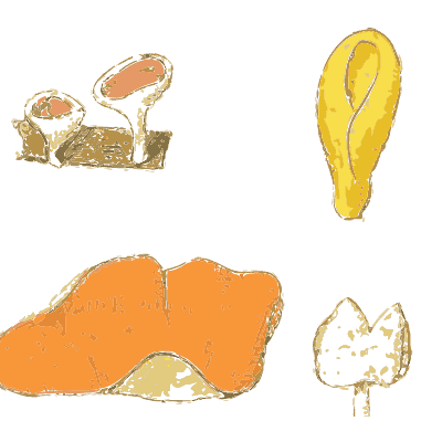 Morel, helvella and cup fungi - Atlas des Champignons Comestibles et Veneneux - 1895