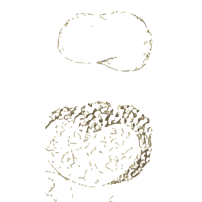 Truffles and deer truffle - Atlas des Champignons Comestibles et Veneneux - 1895