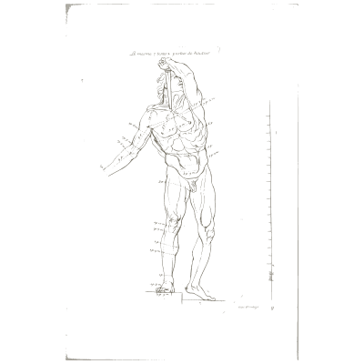 Standing nude statue with arm outstretched - Les Proportions du Corps Humain - 1683