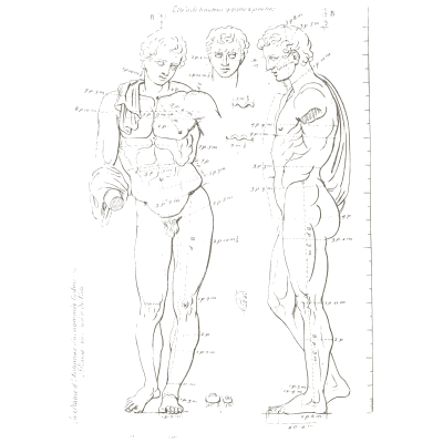 Standing statue, front and back - Les Proportions du Corps Humain - 1683