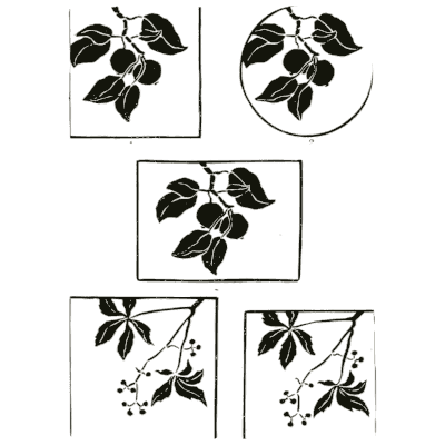 Leaf spray design studies - Nature Drawing from Various Points of View - 1910