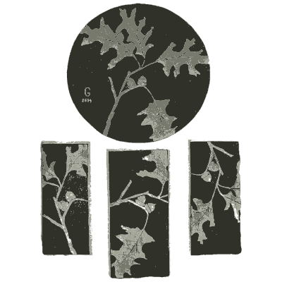 Oak leaf studies - Nature Drawing from Various Points of View - 1910