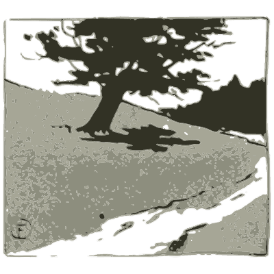 Tree silhouette landscape - Nature Drawing from Various Points of View - 1910