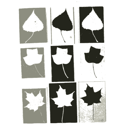 Leaf silhouette studies 02 - Nature Drawing from Various Points of View - 1910