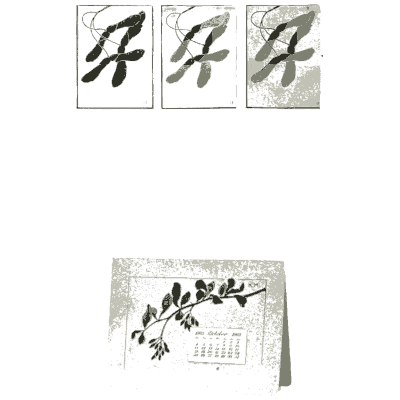 Spray design for a calendar - Nature Drawing from Various Points of View - 1910