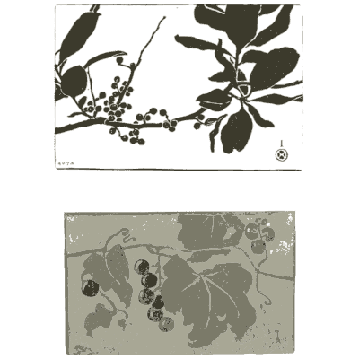 Berry branch studies - Nature Drawing from Various Points of View - 1910