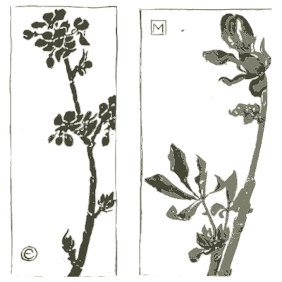 Flowering branch studies - Nature Drawing from Various Points of View - 1910