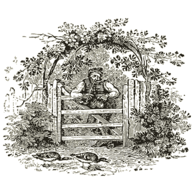 Figure at a garden gate - History of British Birds, Volume 2 - 1804