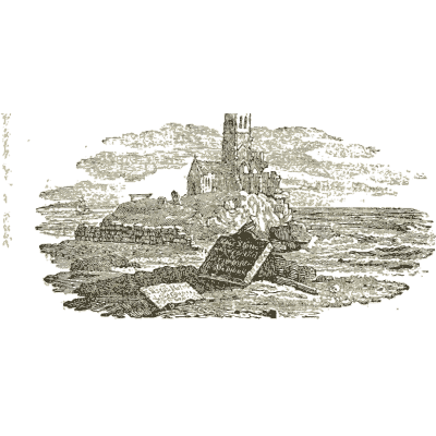 Ruined tower on a shore - History of British Birds, Volume 2 - 1804