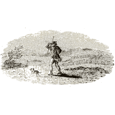 Walker with a dog on a moor - A History of British Birds - 1809