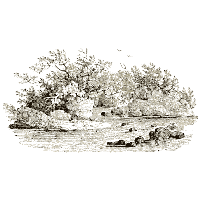 Riverbank with trees - A History of British Birds - 1809