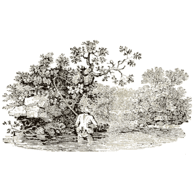 Bushy landscape vignette - A History of British Birds - 1809