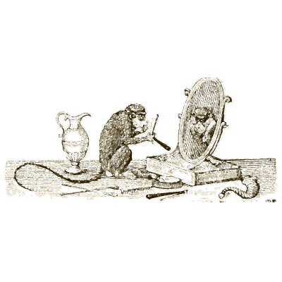 Monkey at a mirror 02 - A General History of Quadrupeds - 1800