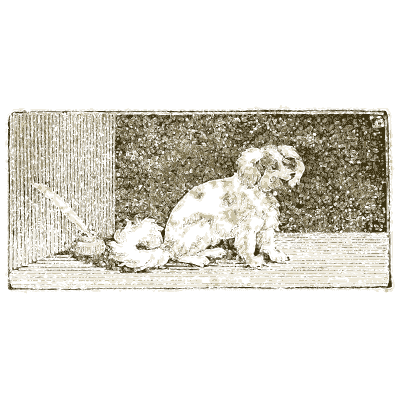 Spaniel in a kennel 02 - A General History of Quadrupeds - 1800