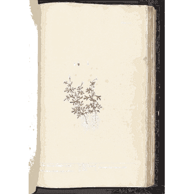 Small low herb with root - A Curious Herbal - 1737