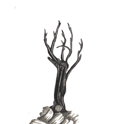 Gnarled tree stump - A Curious Herbal: Five Hundred Cuts - 1737