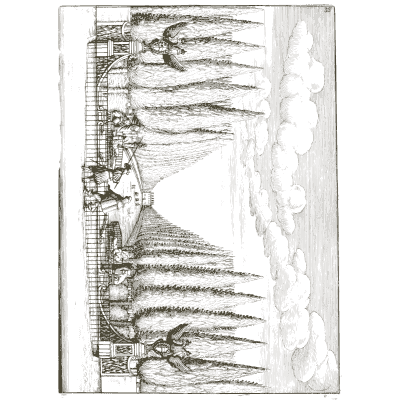 Long gallery of water jets in oblique view 01 - Architectura Curiosa Nova - 1664